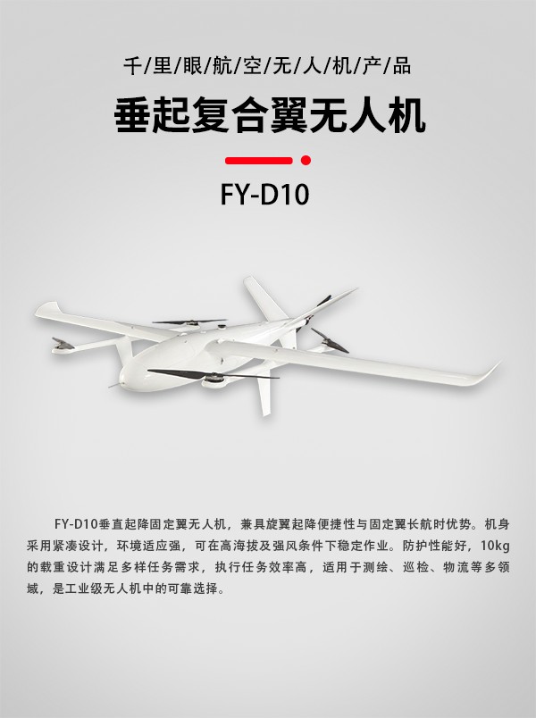 垂直起降固定翼无人机FY-D10型(图1)